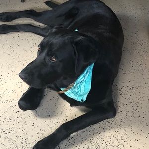 My baby Leo Jefferson